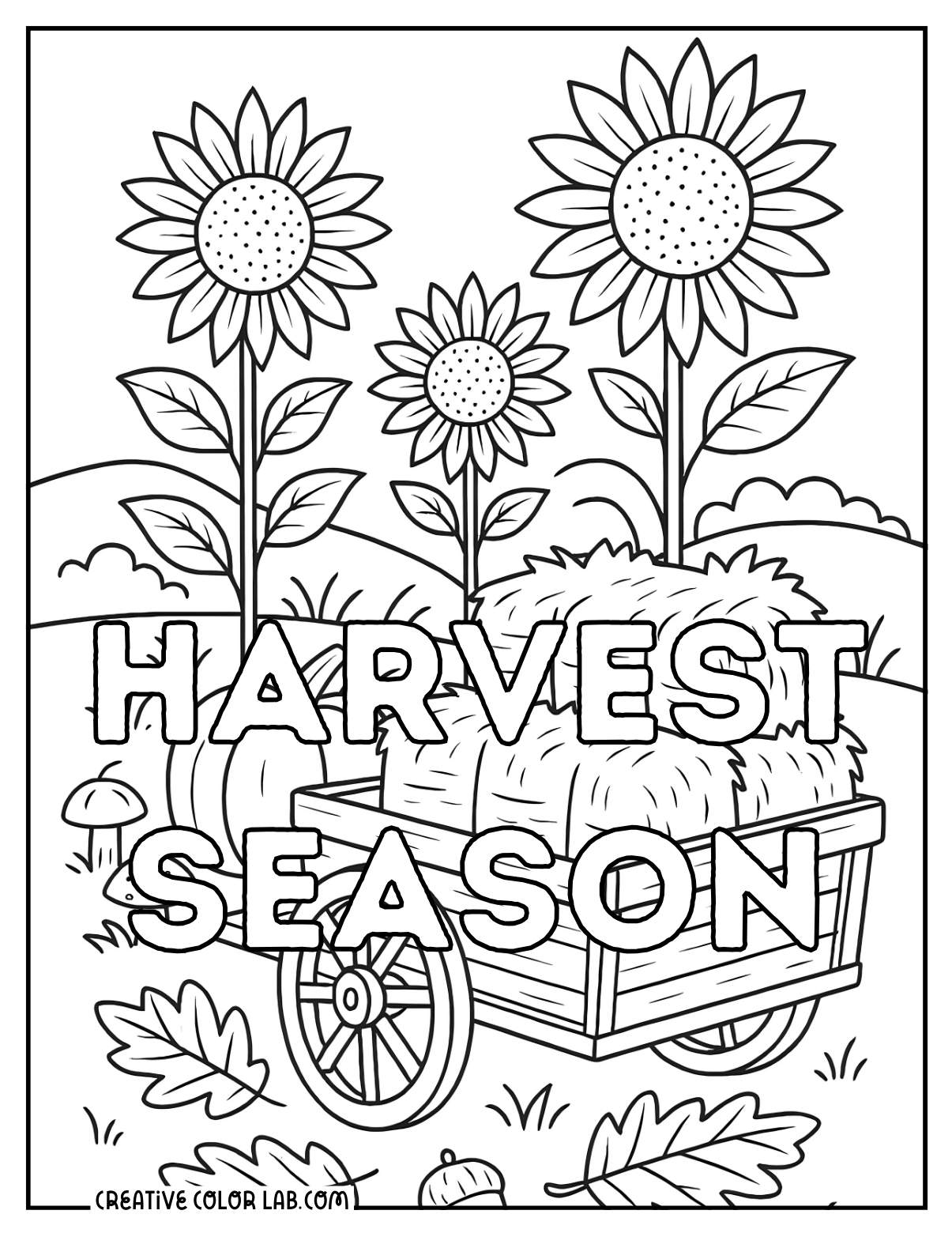 Harvest season of sunflowers and hay bales line art to color in.