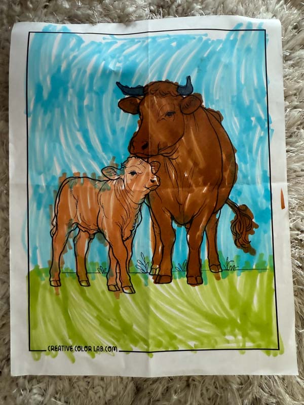 A cow coloring page colored by a kid.