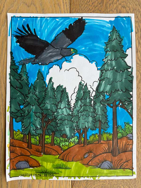 An eagle coloring page colored in using a pen.