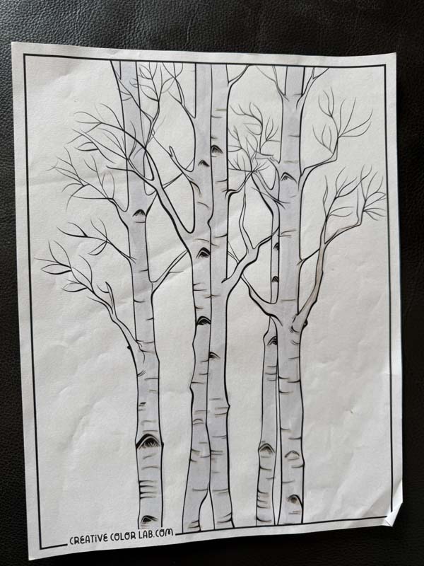 Colored in tree coloring page.