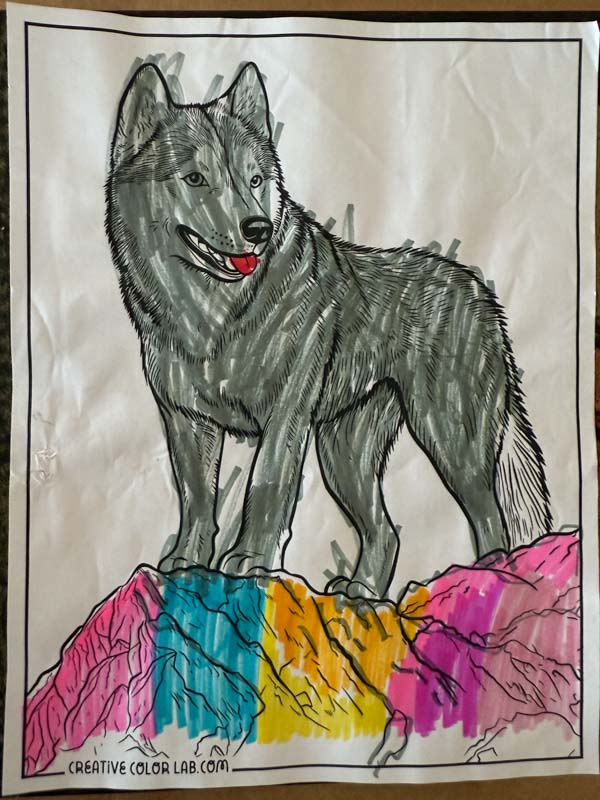 Wolf coloring page finished.