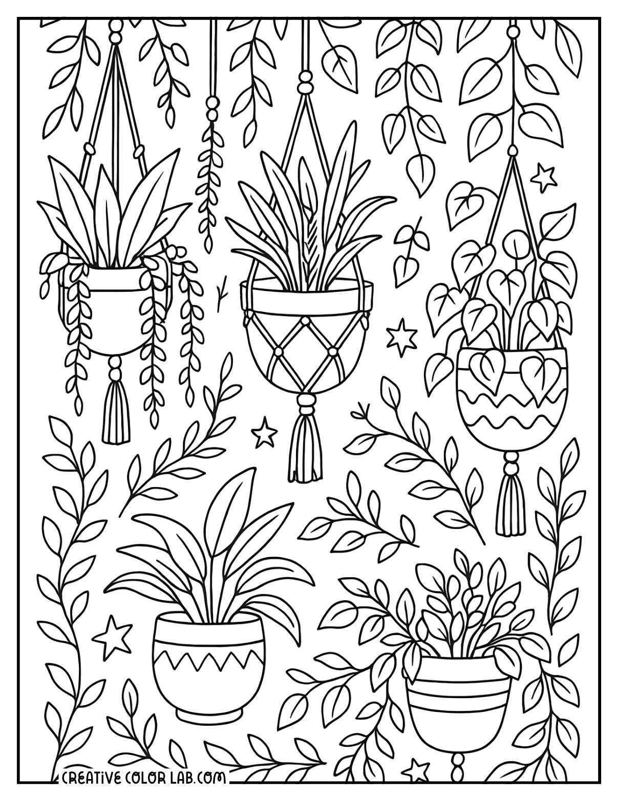 Hanging plants botanical line art to color in.