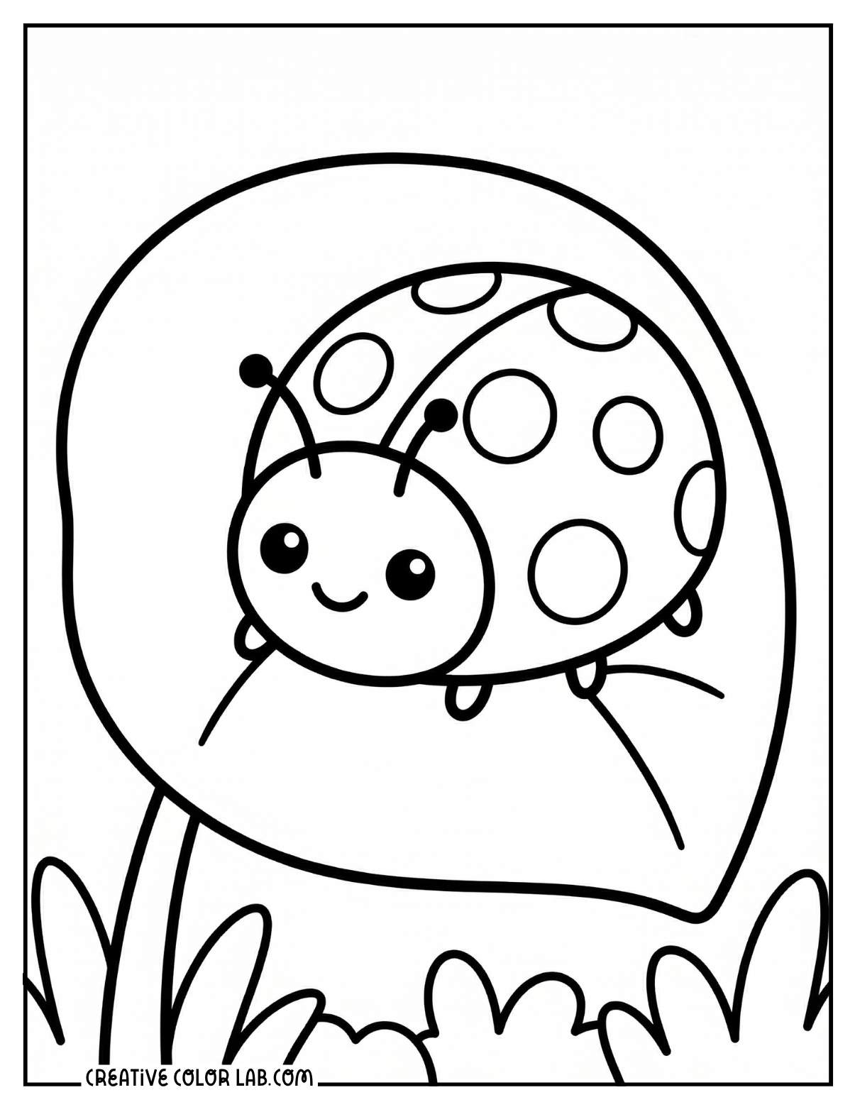 Cute ladybug garden insect coloring sheet for kids.